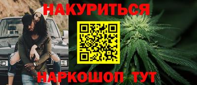 не бодяженный Гай