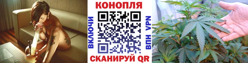Канабис планчик  Ногинск 
